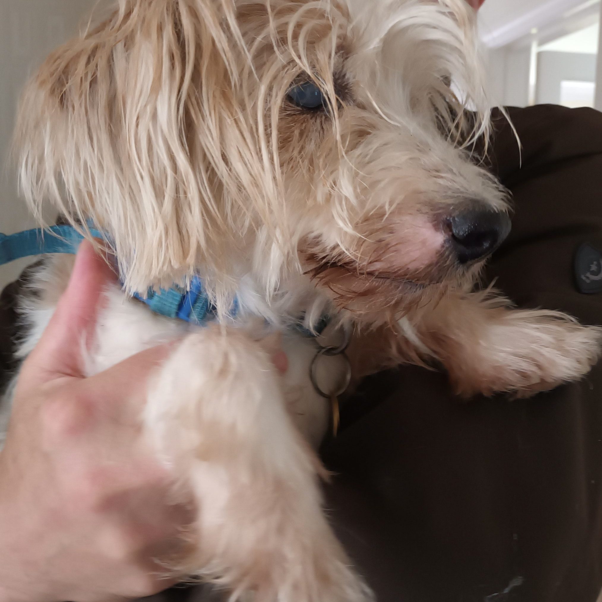 88A086CA-E617-4A13-B650-844995EFF037_1_201_a