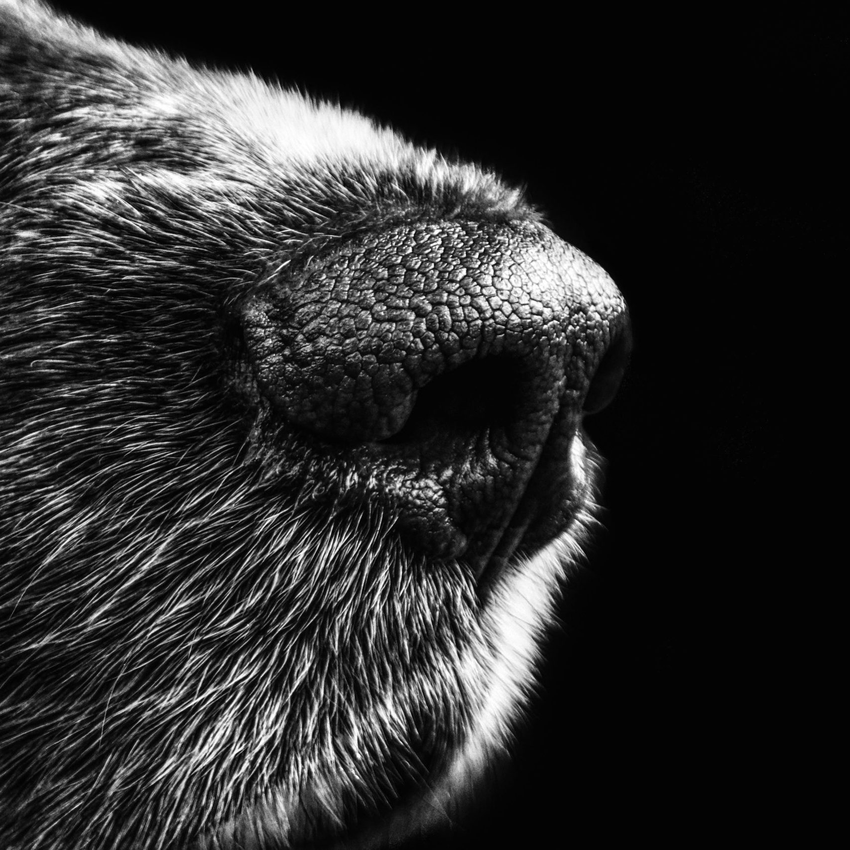 PIXNIO-222974-5415x3610