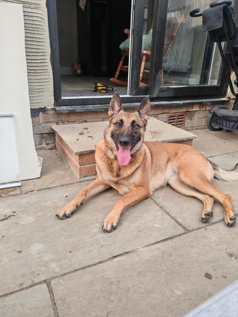 Sweet natured girl