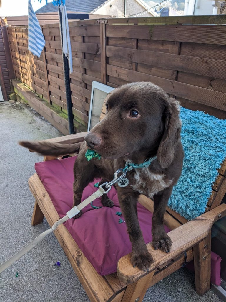 E1224F09-C87E-434B-AD58-F67B3FD5461E