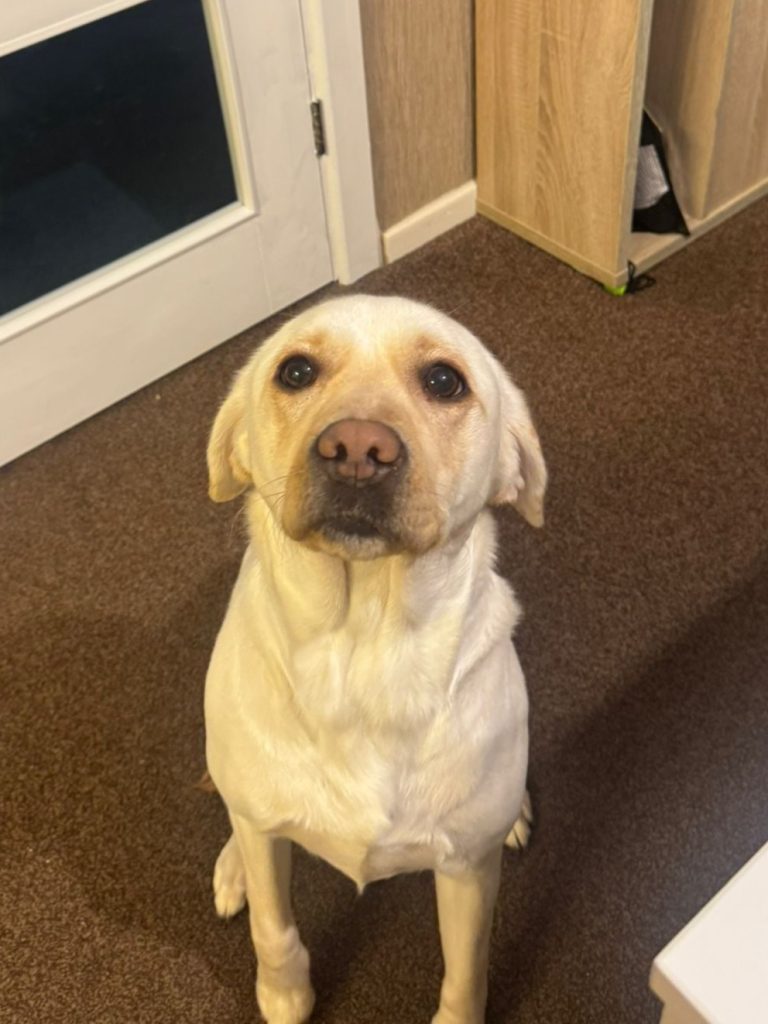 Friendly girl with lots of energy!