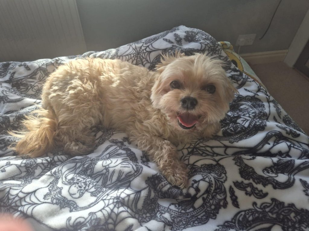 Adorable little diva